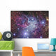 Fox Fur Nebula Wall Decal