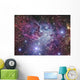 Fox Fur Nebula Wall Decal