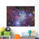Fox Fur Nebula Wall Decal