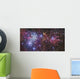 Ngc 2264 Wall Decal