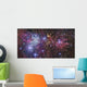 Ngc 2264 Wall Decal