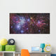 Ngc 2264 Wall Decal