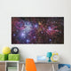 Ngc 2264 Wall Decal