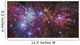 Ngc 2264 Wall Decal