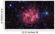 Cocoon Nebula Wall Decal Design 2