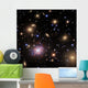 Elliptical Galaxy Ngc 1275 Wall Decal