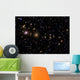 Perseus Galaxy Cluster Wall Decal