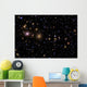 Perseus Galaxy Cluster Wall Decal