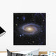 Messier 81 or Bode's Wall Decal