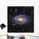 Messier 81 or Bode's Wall Decal
