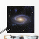 Messier 81 or Bode's Wall Decal
