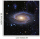 Messier 81 or Bode's Wall Decal