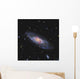 Messier 106 Spiral Galaxy Wall Decal Design 2