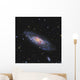 Messier 106 Spiral Galaxy Wall Decal Design 2