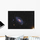 Ngc 5033 Spiral Galaxy Wall Decal