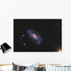 Ngc 5033 Spiral Galaxy Wall Decal