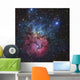 Trifid Nebula Wall Decal Design 2