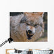 Wolf Wall Mural