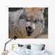 Wolf Wall Mural