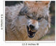 Wolf Wall Mural