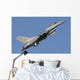 F-16 Pakistan Air Force Wall Decal