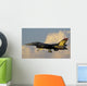 Solo Turk F-16 Turkish Wall Decal
