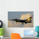 Solo Turk F-16 Turkish Wall Decal
