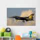 Solo Turk F-16 Turkish Wall Decal