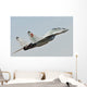 Mig-29 Bulgarian Air Force Wall Mural