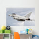 Italian Air Force Eurofighter Wall Decal Design 2