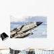 Close-up Italian Air Force Wall Decal