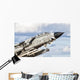 Close-up Italian Air Force Wall Decal