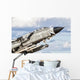 Close-up Italian Air Force Wall Decal