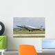 F-4 Phantom Hellenic Air Wall Decal Design 2