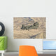 Italian Army Ch-47c Chinook Wall Decal Design 1