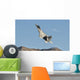 Us Air Force F-22 Wall Decal