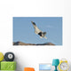 Us Air Force F-22 Wall Decal