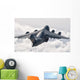 C-17 Globemaster Flying above Wall Decal