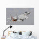 F-15c Eagle Baz Aircraft Wall Decal Design 5