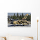 Panavia Tornado Ids Royal Wall Decal Design 3