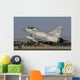 Dassault Mirage 2000 United Wall Decal