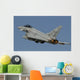 Eurofighter F-2000 Italian Air Wall Decal Design 1