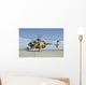 Afghan Air Force Md-530f Wall Decal