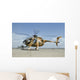 Afghan Air Force Md-530f Wall Decal