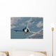 Brazilian Air Force Mirage Wall Decal Design 9