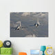 Brazilian Air Force Mirage Wall Decal Design 8