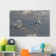 Brazilian Air Force Mirage Wall Decal Design 8