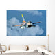 Venezuelan Air Force F-16 Wall Decal Design 6