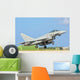 Italian Air Force F-2000 Wall Decal Design 12