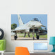 Italian Air Force F-2000 Wall Decal Design 7